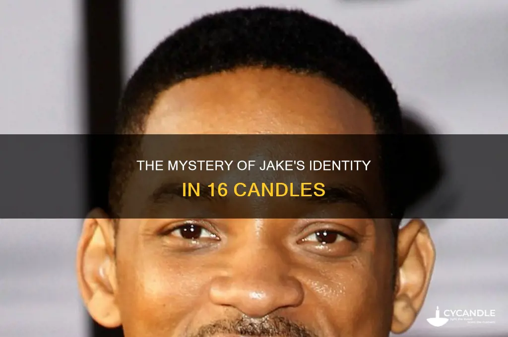 who is jake from 16 candles