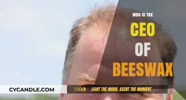 Meet the Visionary CEO Behind Beeswax's Success and Innovation