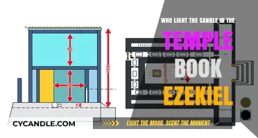 Ezekiel's Temple Mystery: Who Lit the Sacred Candle?