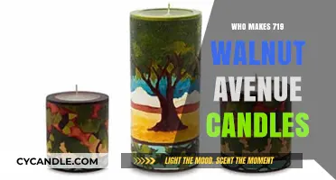 Discover the Artisans Behind 719 Walnut Avenue Candles