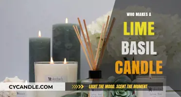 Discover the Artisans Behind Handcrafted Lime Basil Candles
