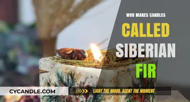 Discover the Artisans Behind Siberian Fir Scented Candles