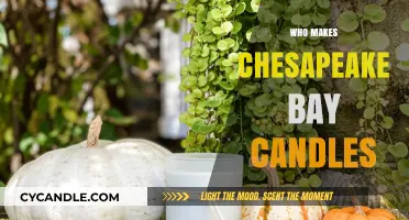 Discovering the Craftsmanship Behind Chesapeake Bay Candles: Who Makes Them?