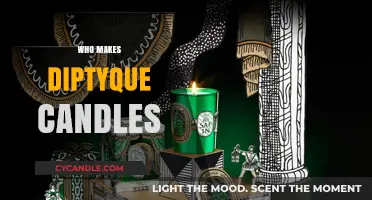 Unveiling the Artisans Behind Diptyque's Luxurious Scented Candles