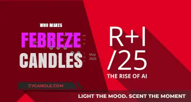 Discover the Creators Behind Febreze Candles: A Brand Spotlight