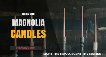 Discover the Artisans Behind Magnolia Candles: A Craftsmanship Story