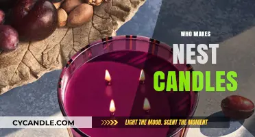 Discovering the Artisans Behind Nest Candles: A Craftsmanship Journey