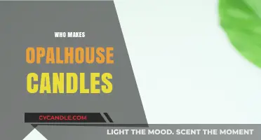 Discovering the Craftsmanship Behind Opalhouse Candles: Who Makes Them?