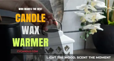 Discover the Top Candle Wax Warmer Brands for Ultimate Aromatherapy