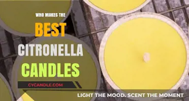 Top Citronella Candles: Best Brands for Bug-Free Outdoor Relaxation