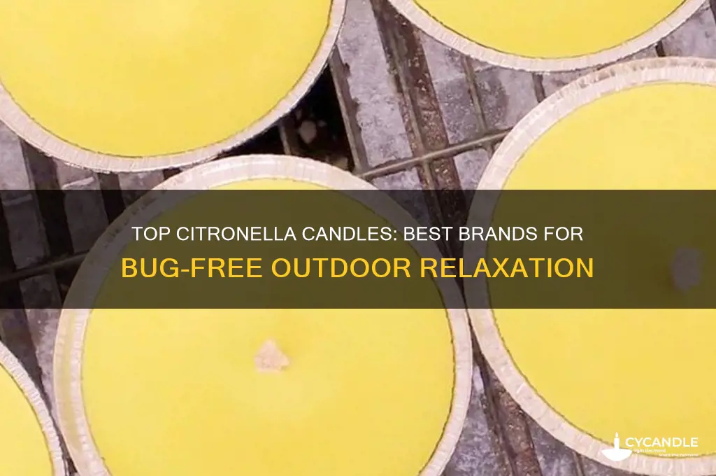 who makes the best citronella candles