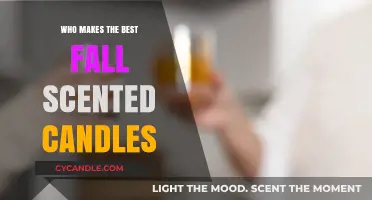 Discover the Top Fall Scented Candles: A Cozy Aromatic Guide