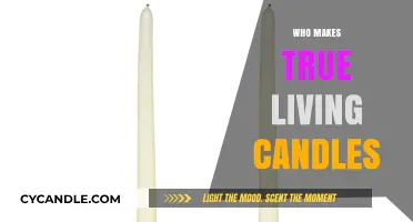 Who Crafts True Living Candles? Unveiling the Artisans Behind the Magic
