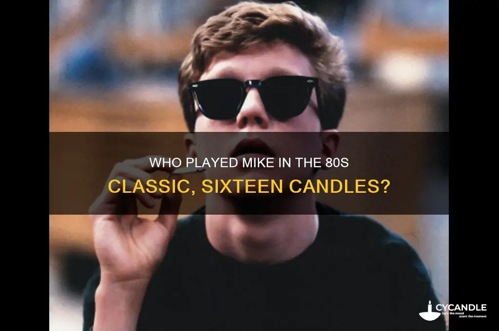 who played mike in sixteen candles