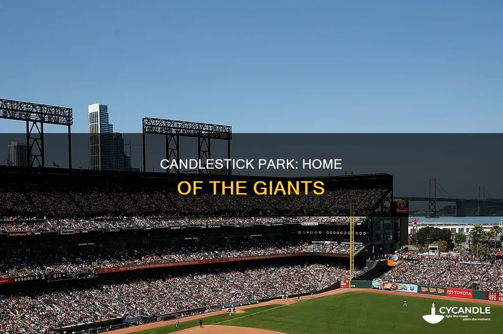 who plays baseball at us candle stick park