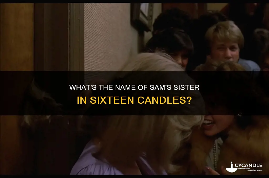 who plays sam