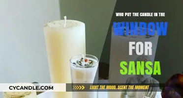 Who Lit Sansa's Window Candle? Unraveling the Mystery in Game of Thrones