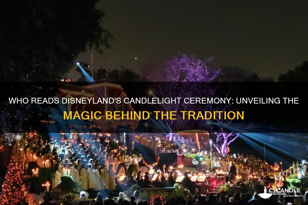 who read disneyland candle light