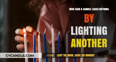 Candle's Light: Sharing Flame Without Loss, A Timeless Wisdom Explored