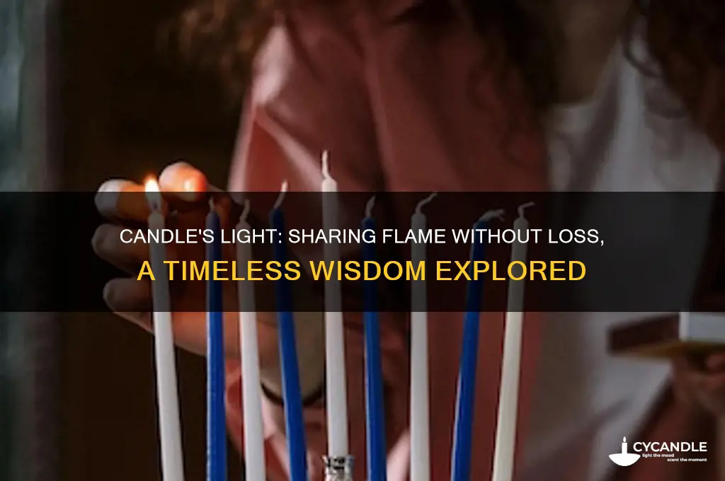 who said a candle loses nothing by lighting another