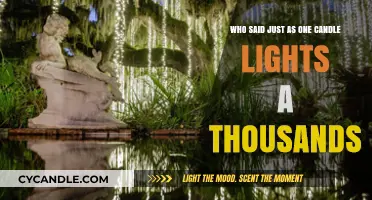 Who Said 'Just as One Candle Lights a Thousand'? Unveiling the Wisdom