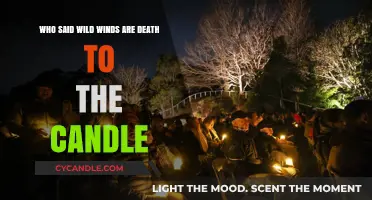 Wild Winds: A Candle's Worst Enemy
