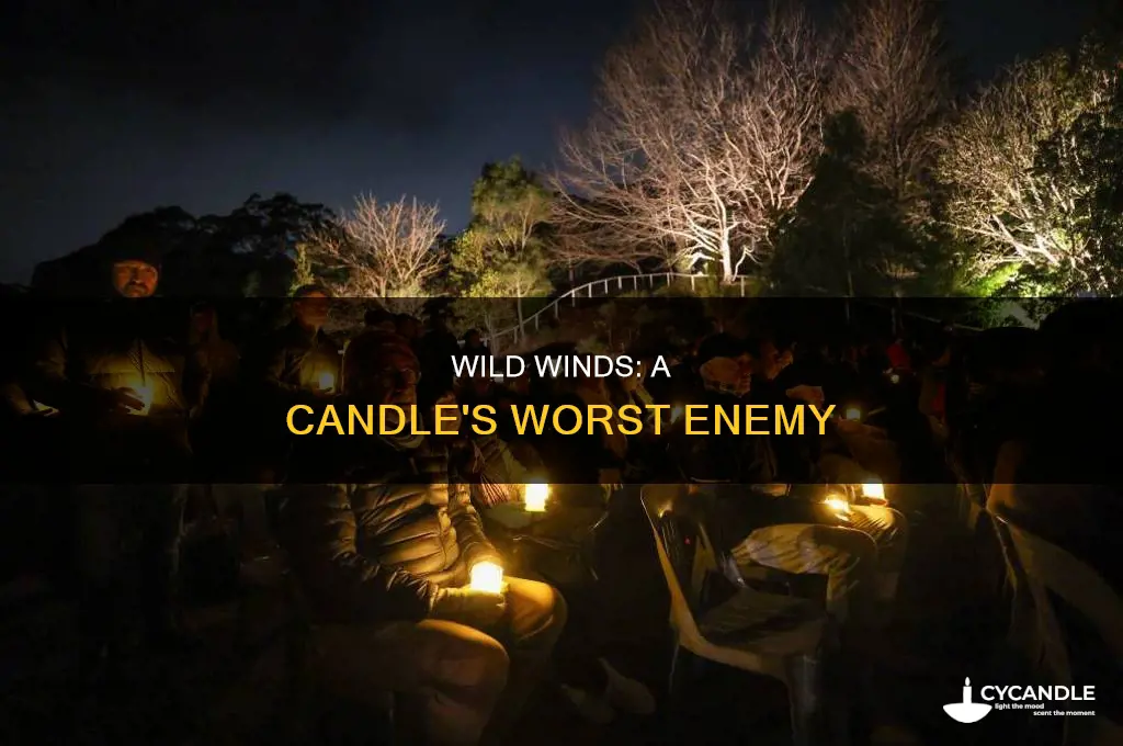 who said wild winds are death to the candle