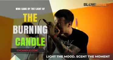By the Light of the Burning Candle: Unveiling the Singer's Identity