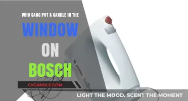 Who Sang 'Put a Candle in the Window' on Bosch?