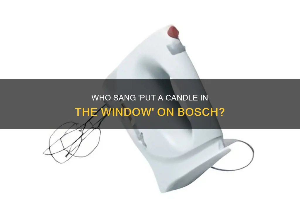 who sang put a candle in the window on bosch