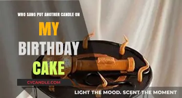Unveiling the Voice Behind 'Put Another Candle on My Birthday Cake