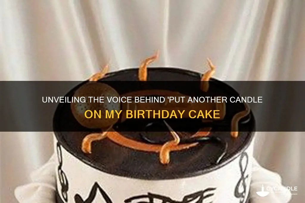 who sang put another candle on my birthday cake