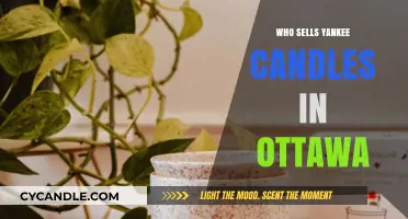 Where to Buy Yankee Candles in Ottawa: Top Retailers