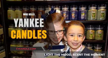 Where to Buy Yankee Candles: Top Retailers and Online Stores