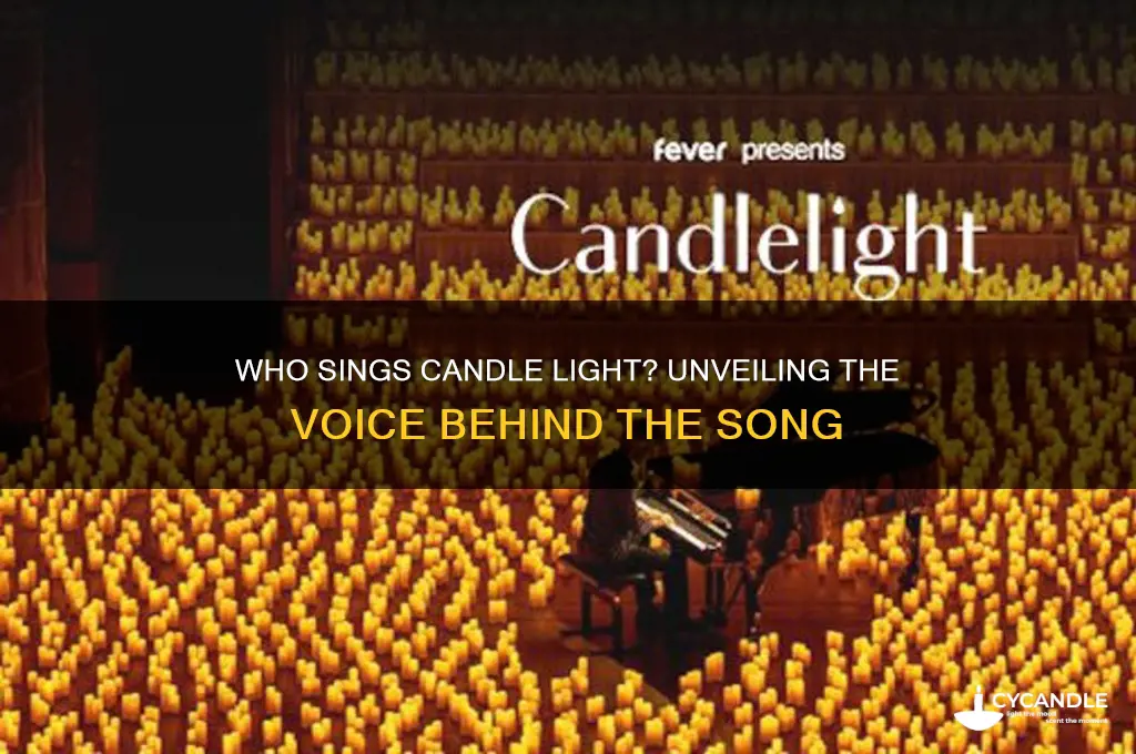 who sings candle light