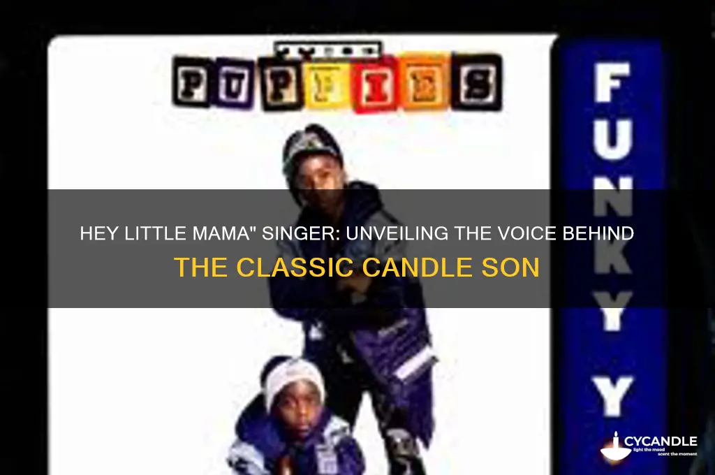 who sings hey little mama let me light your candle