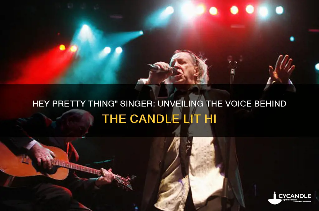 who sings hey pretty thing let me light your candle