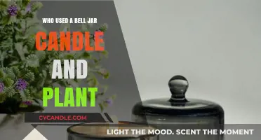 Bell Jar Candles and Plants: A Historical and Modern Usage Guide