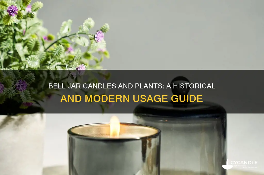 who used a bell jar candle and plant