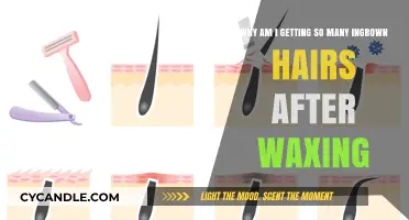 Smooth Skin, Bumpy Troubles: A Guide to Preventing Ingrown Hairs Post-Waxing