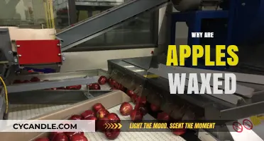 Unveiling the Secrets: Why Are Apples Waxed?