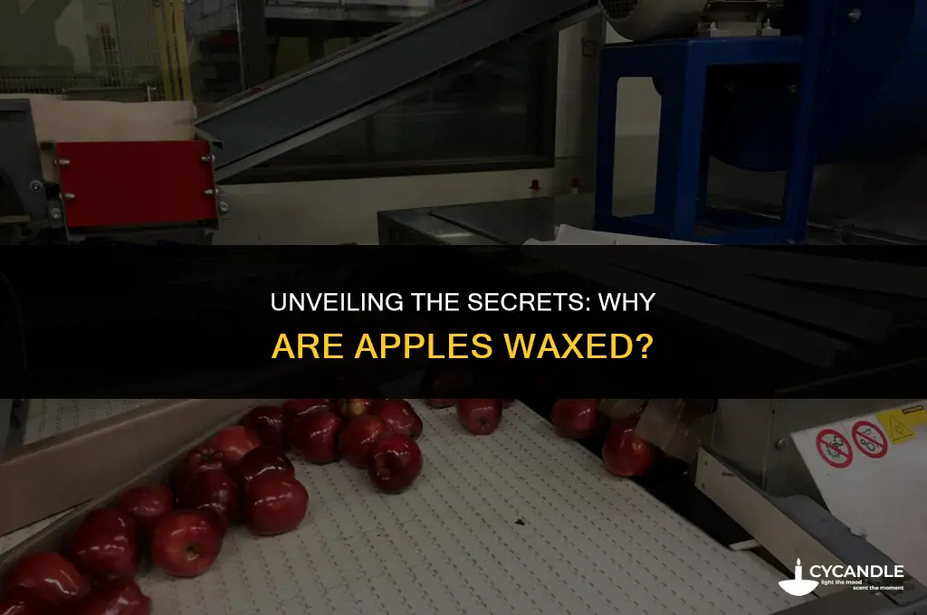 why are apples waxed