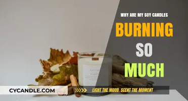 Troubleshooting Soy Candle Burn Issues: Causes and Solutions Explained