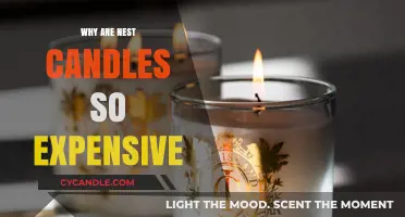 Luxury Scented Candles: Nest Fragrances' Expensive Price Tags Explained