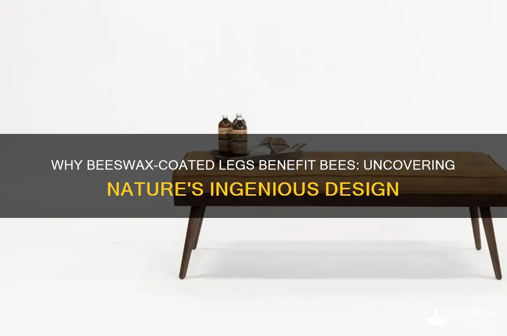 why beeswax coat legs