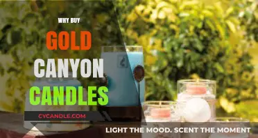Why Gold Canyon Candles Are the Perfect Choice for Your Home