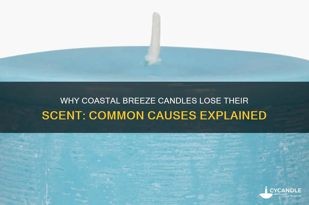 why can i barely smell coastal breeze candle
