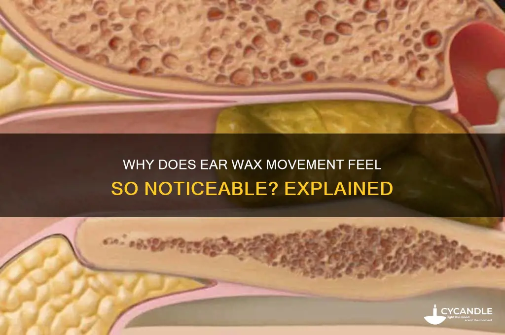 why can i feel my ear wax moving
