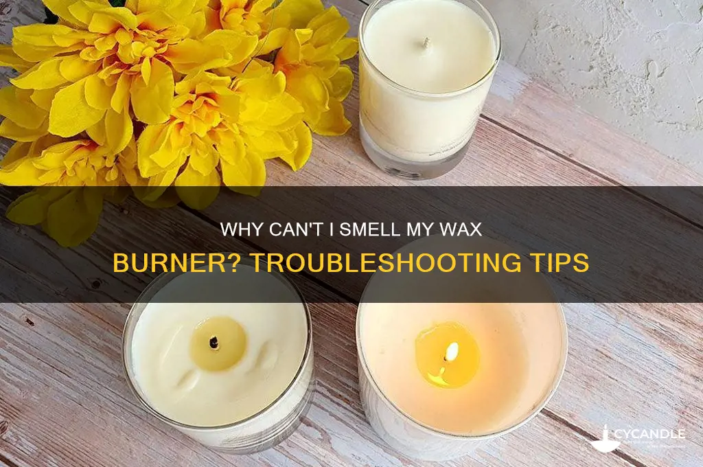 why can t i smell my wax burner