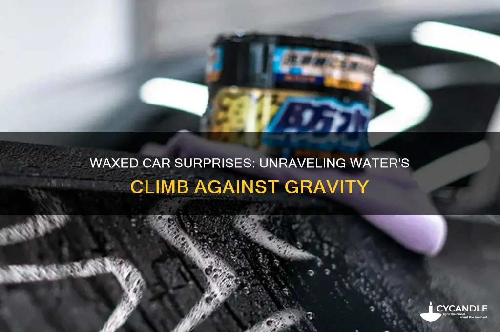 why can water go up a waxed car